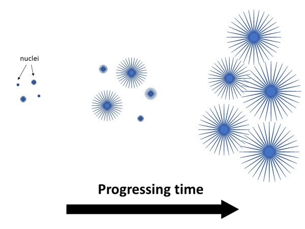 Polymer Matrix Structure A Ckn Knowledge In Practice Centre