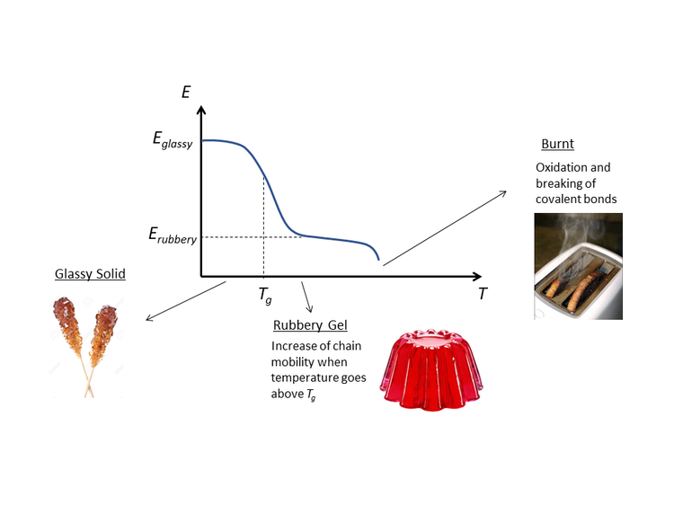 Thermal phase transitions of polymers A102 CKN Knowledge in
